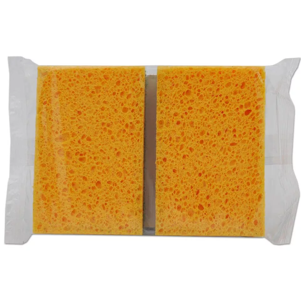 Eponge à récurer - 10x7x2cm - 2 pièces