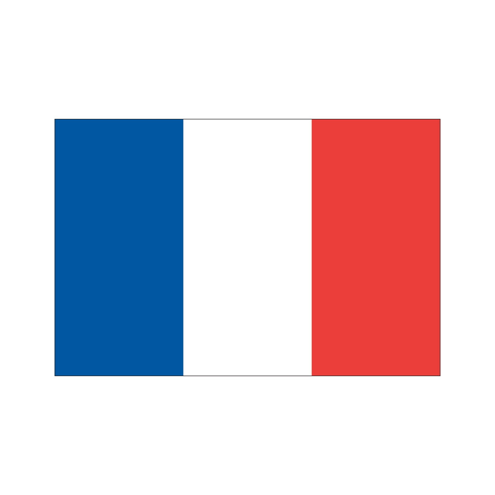 france flag at 14 9