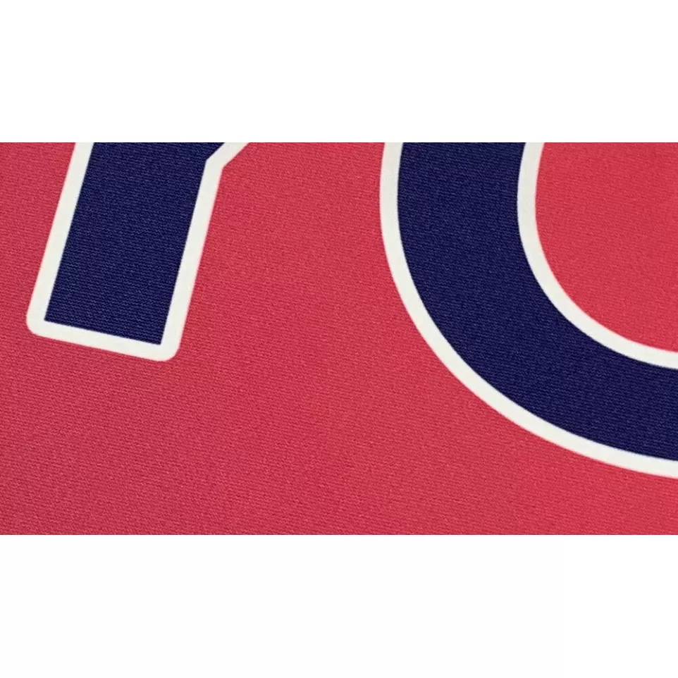 Polyester fabric banner