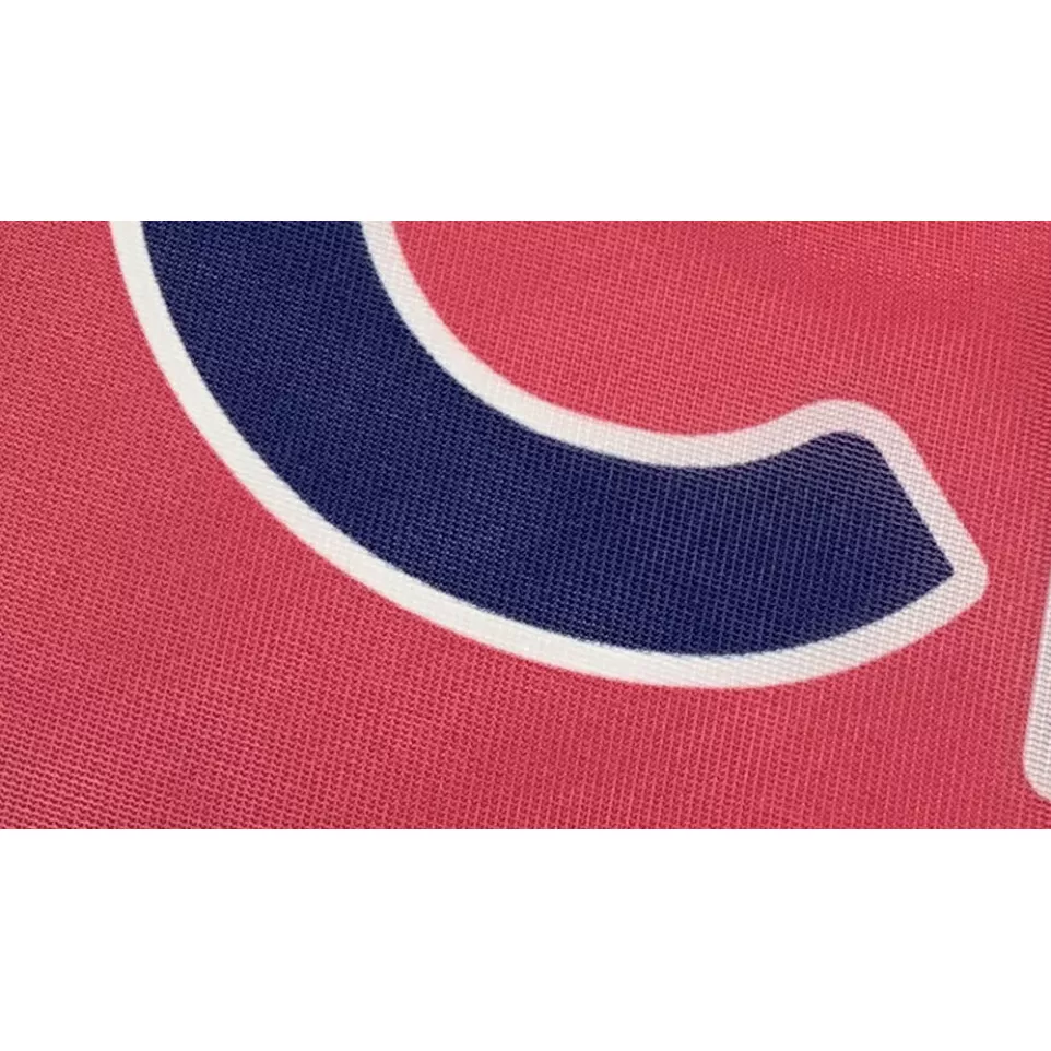 Polyester fabric banner