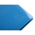 Showalbum PP A4 40 t-assen Bee Blue geass/ St.