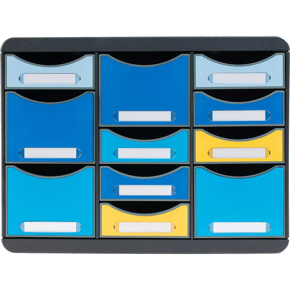 Store Box Multi Bee Blue Assorted...