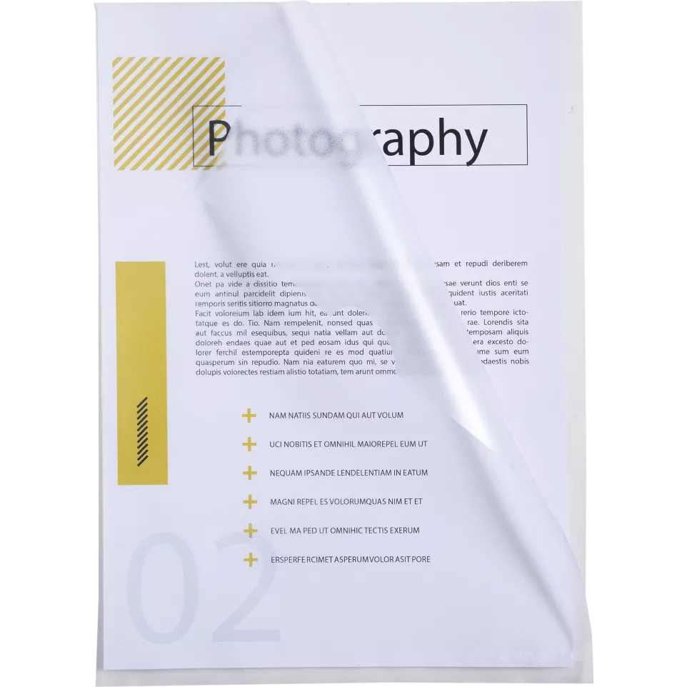 Exacompta Cut Flush Folders A4/ Pc.