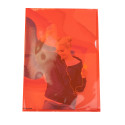 PK 100 L-map A4 glad- PP 120µ geassort./ St.
