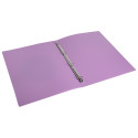 Ringmap 4R 15mm PP A-4 Ellipse geassort./ St.