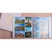 Fotoalbum 60p wit 29-x32cm Ellipse roze/ St.