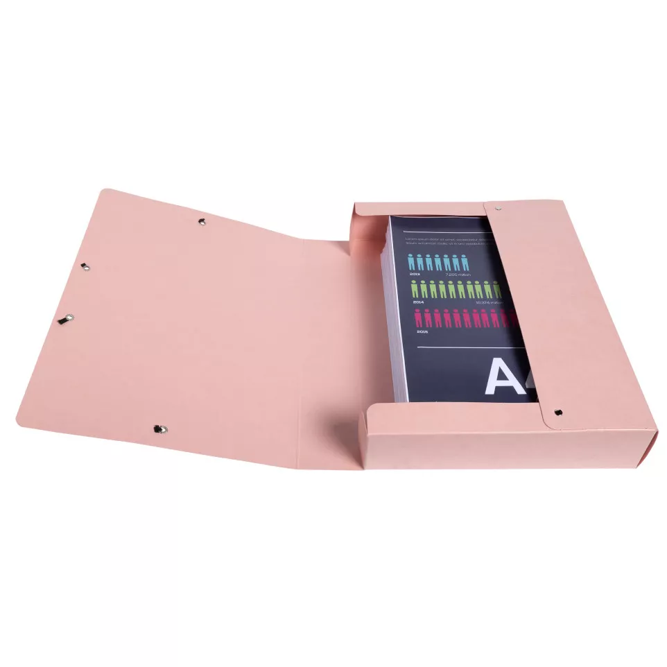 Boite de classement Exabox Dos 60mm...