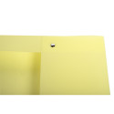 Boite de classement Exabox Dos 25mm Polypropylène 7/10e Chromaline pastel - A4/ Pce