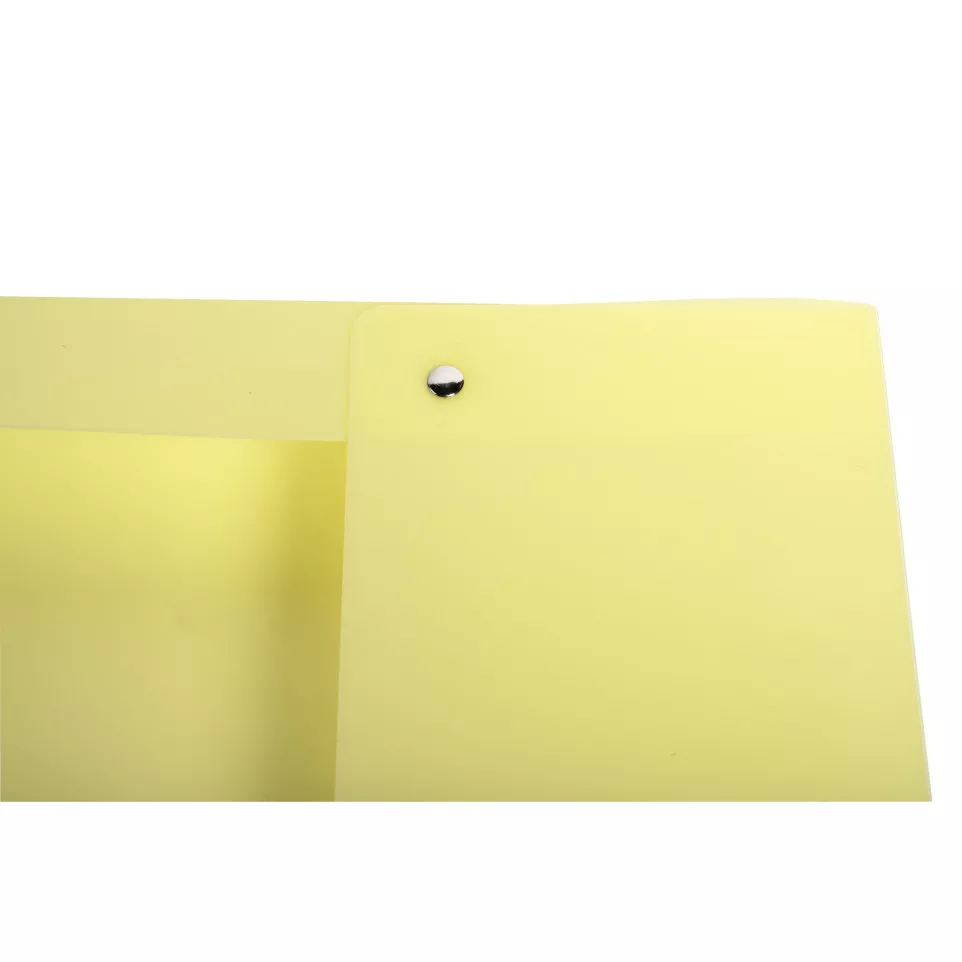 Chrom Pastel Box File A4 25mm PP...