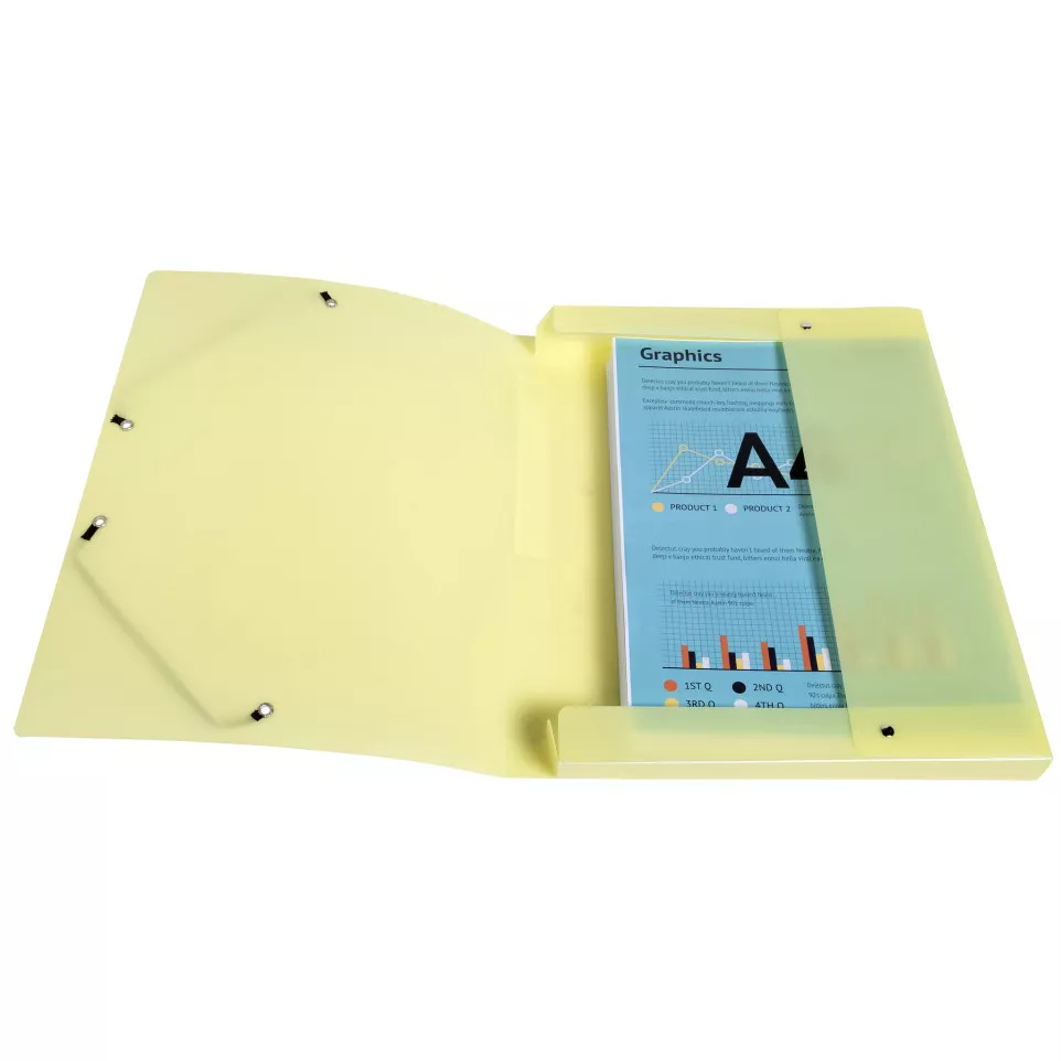 Klasseerdoos rug 25m-m PP...