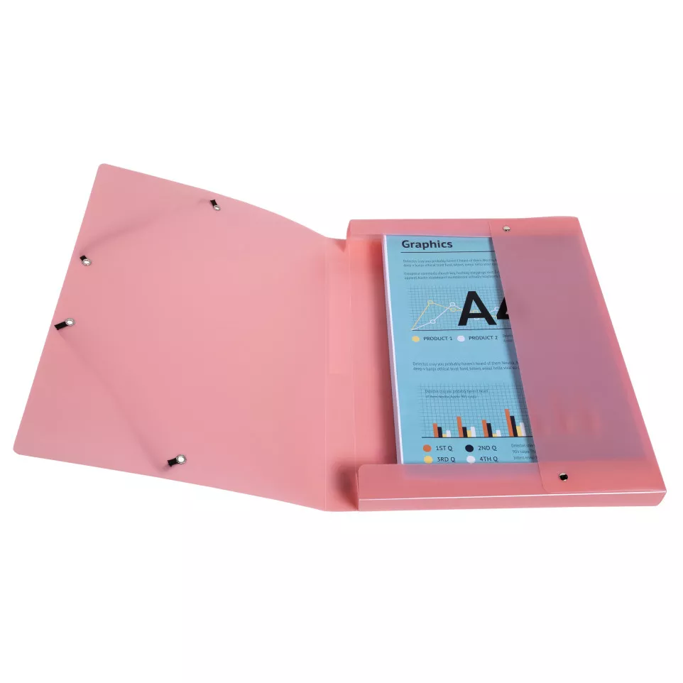 Boite de classement Exabox Dos 25mm...