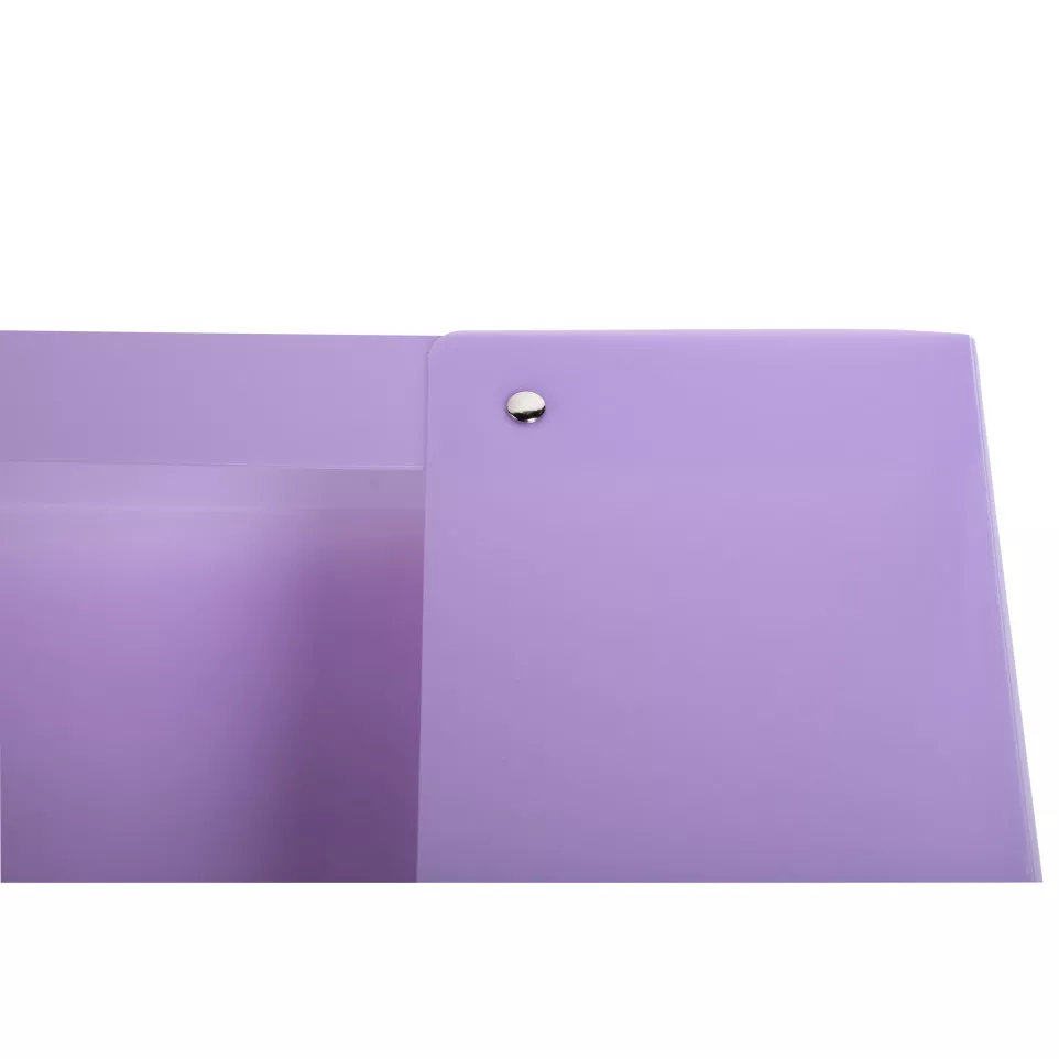 Chrom Pastel Box File A4 25mm PP...