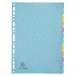 Tabbladen A4 12T gla-nskarton 400 AQUAREL/ St.