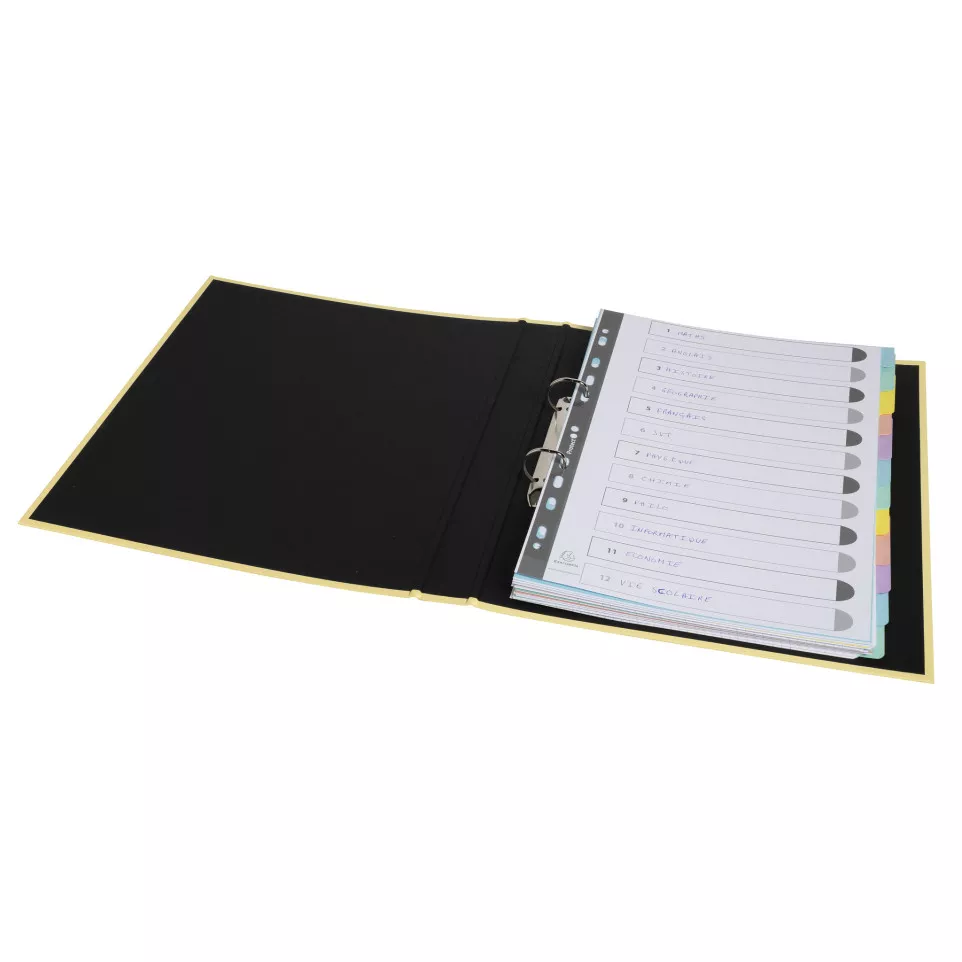 Intercalaires carte lustrée 400g/m2...