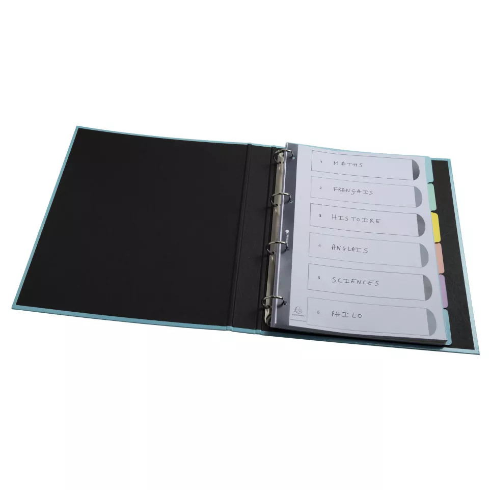 Tabbladen A4 6T glan-skarton 400g...