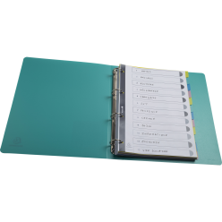 Tabbladen PP FOREVER- YOUNG  A4 12 tabs/ St.