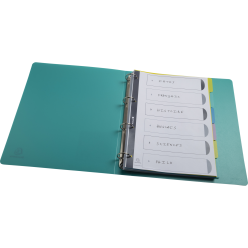 Tabbladen PP FOREVER- YOUNG  A4 6 tabs/ St.