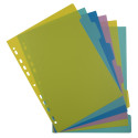 Tabbladen PP FOREVER- YOUNG  A4 6 tabs/ St.
