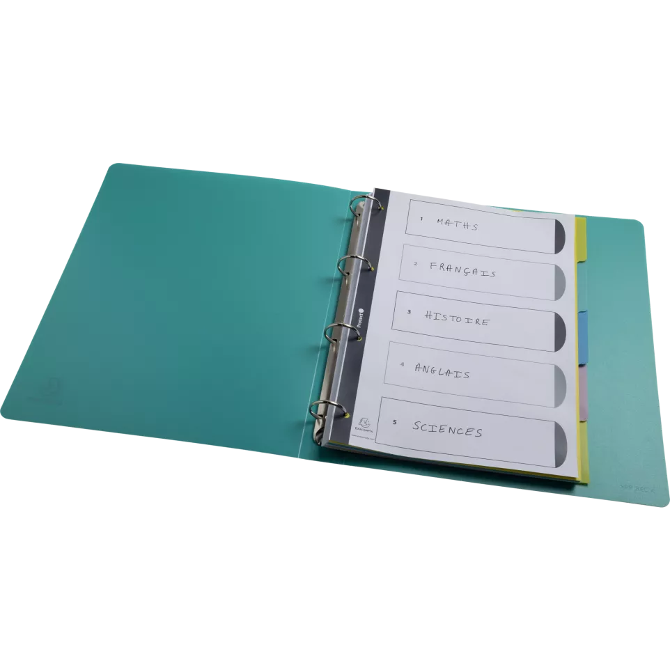 Forever Young Dividers PP A4 5 Parts/...