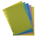 Tabbladen PP FOREVER- YOUNG  A4 5 tabs/ St.