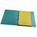 Tabbladen PP FOREVER- YOUNG  A4 5 tabs/ St.