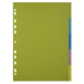 Tabbladen PP FOREVER- YOUNG  A4 5 tabs/ St.