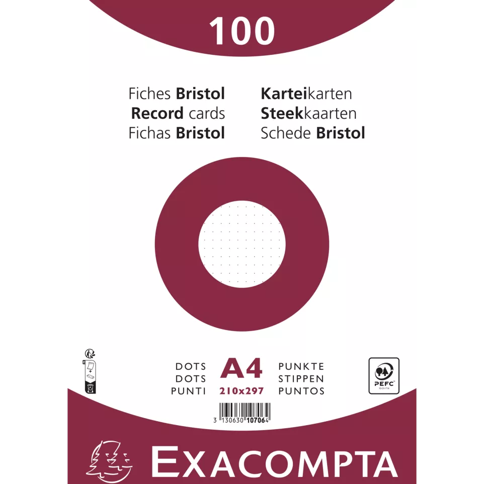 Paquet 100 fiches sous film - bristol...