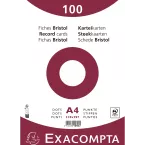 Pk100 record cards 210x297 dots white/ Pc.