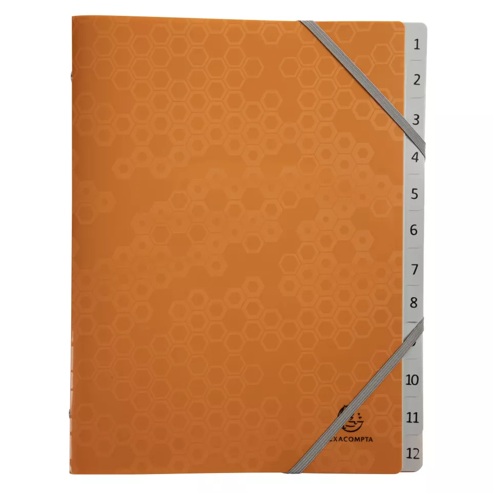 Maïa PP Multi Part 3 Flap File 12P,...