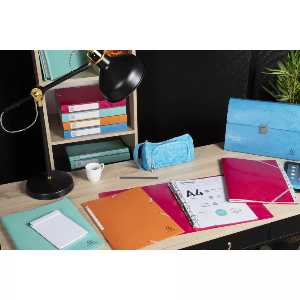 Maïa Elasticated 3 Flap Folder PP A4...