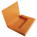 Maïa Box File A4 40mm PP Assorted/ Pc.