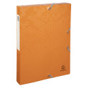 Maïa Box File A4 40mm PP Assorted/ Pc.