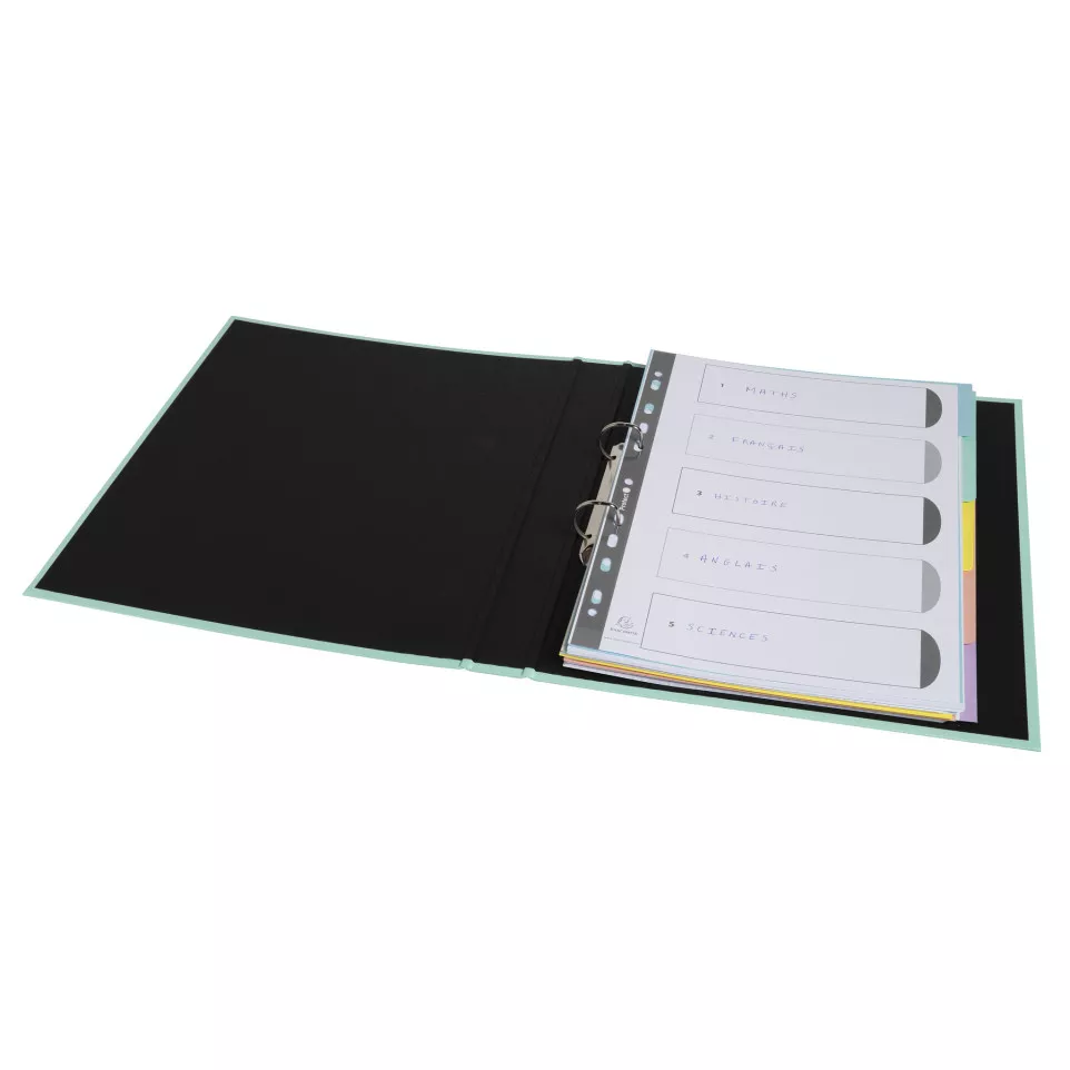 Intercalaires carte lustrée 400g/m2...
