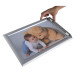 Wand poster lijst A4- aluminium/kristal/ St.