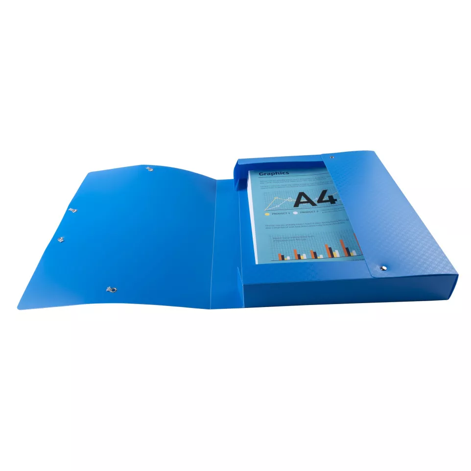 Klasseerdoos rug 40m-m PP Forever...