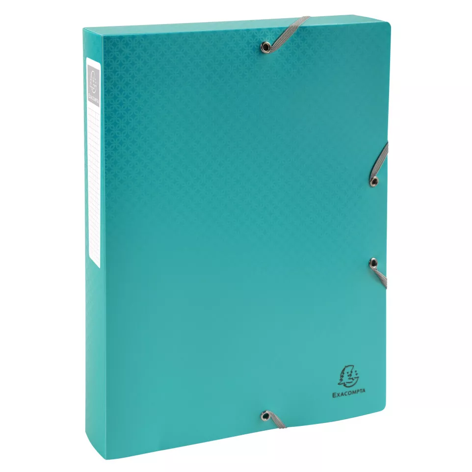 Klasseerdoos rug 40m-m PP Forever...