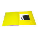 Exacompta Forever Young Recycled Multipart Files, 3 flaps 8 part, A4 PP/ Pc.