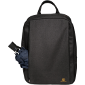 Smart Exactive Backpack for Laptop grey/ Pc.