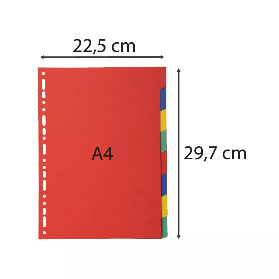 Dividers 8 Pt Recycled Card brights/ Pc.