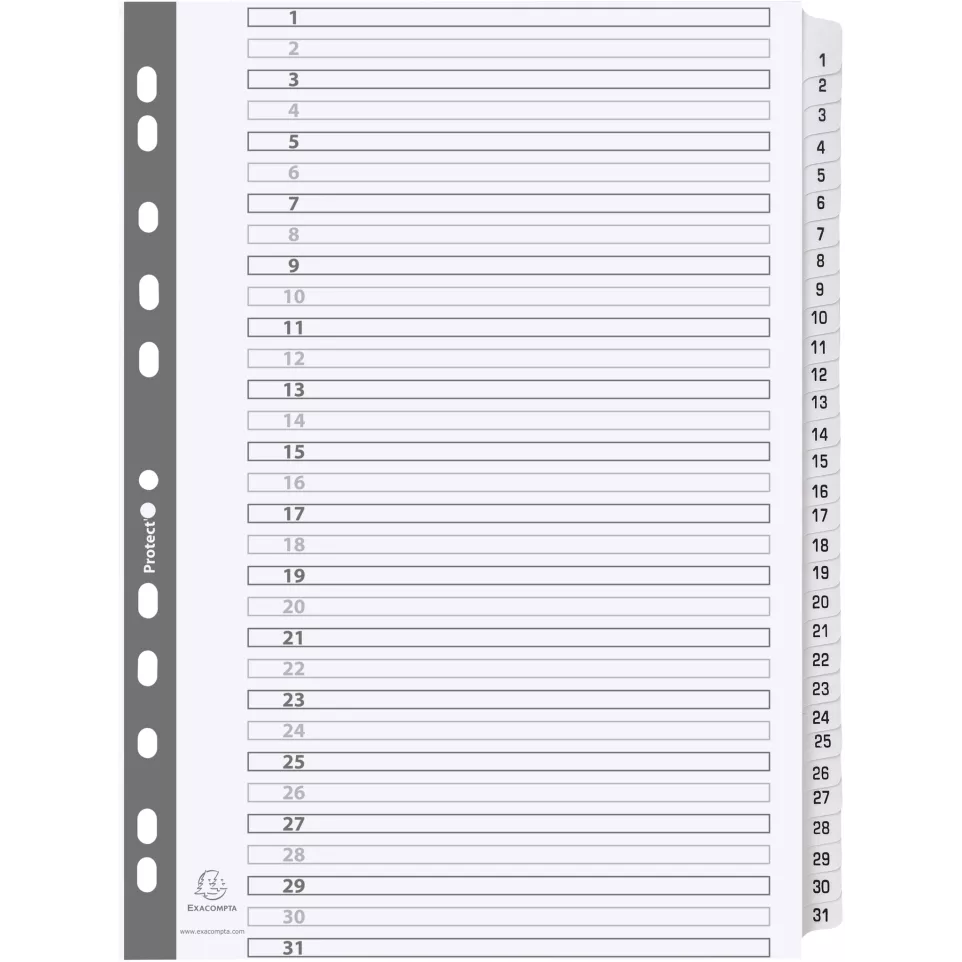 Div Mylar Dividers A4 White 1-31/ Pc.