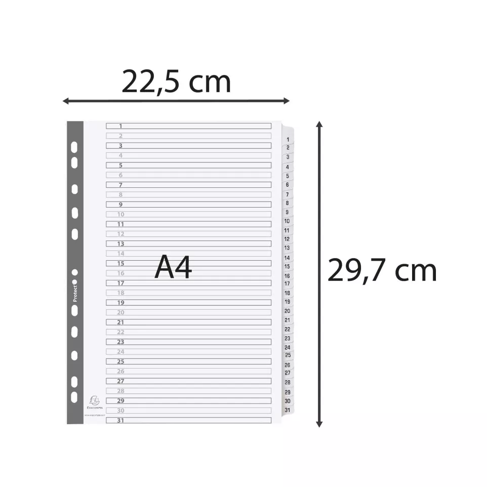 Div Mylar Dividers A4 White 1-31/ Pc.