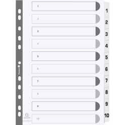 Div Mylar Dividers A4 White...