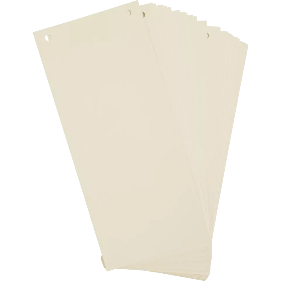 Paquet 100 fiches intercalaires...