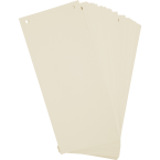 Paquet 100 fiches...