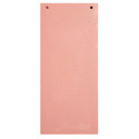 Paquet 100 fiches intercalaires horizontales unies perforées - 105x240mm/ Pce