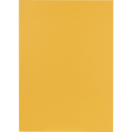 Chemise carte recyclée A4/ Pce