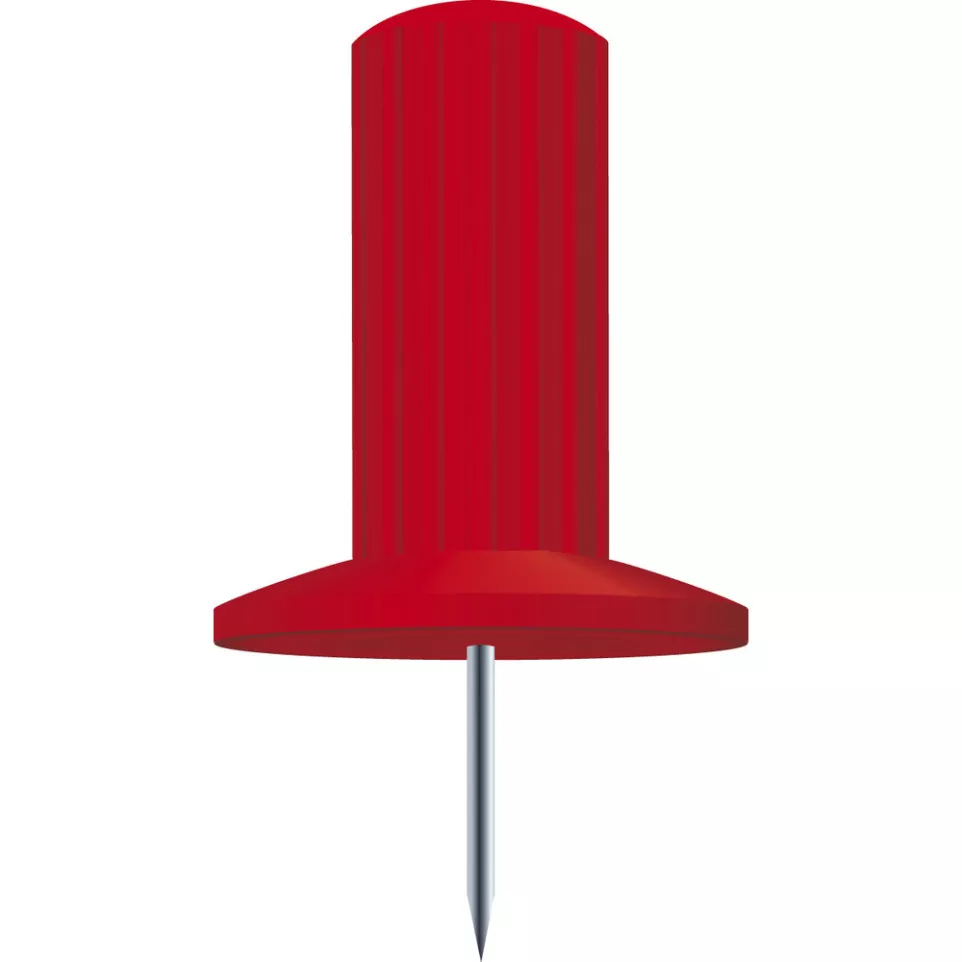 Exacompta 'Papic' Push Pins/ Pc.