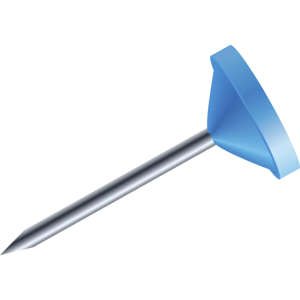 Boîte de 100 épingles à tête plate...