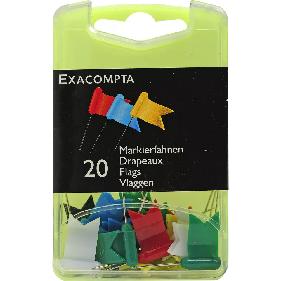 Boîte de 20 épingles drapeaux -...