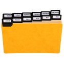 24 dividers 500 micron with alphabetical metallic tabs for horizontal filing 105x148mm/ Pc.